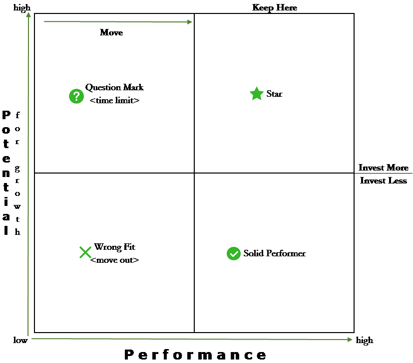 Pict Performance Matrix Strategies to Turn Potential into Performance – TeamStrength, Inc.